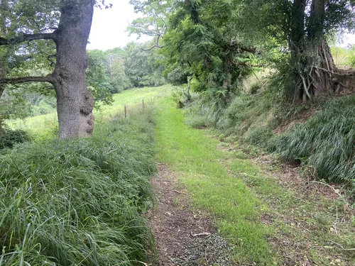 Best Forest Trails in LahitteToupière AllTrails