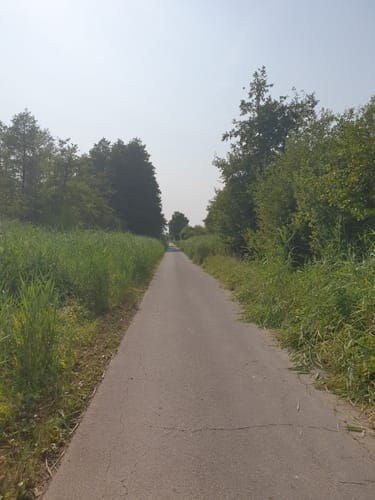Natur-Erlebnispfad am Ilkerbruch