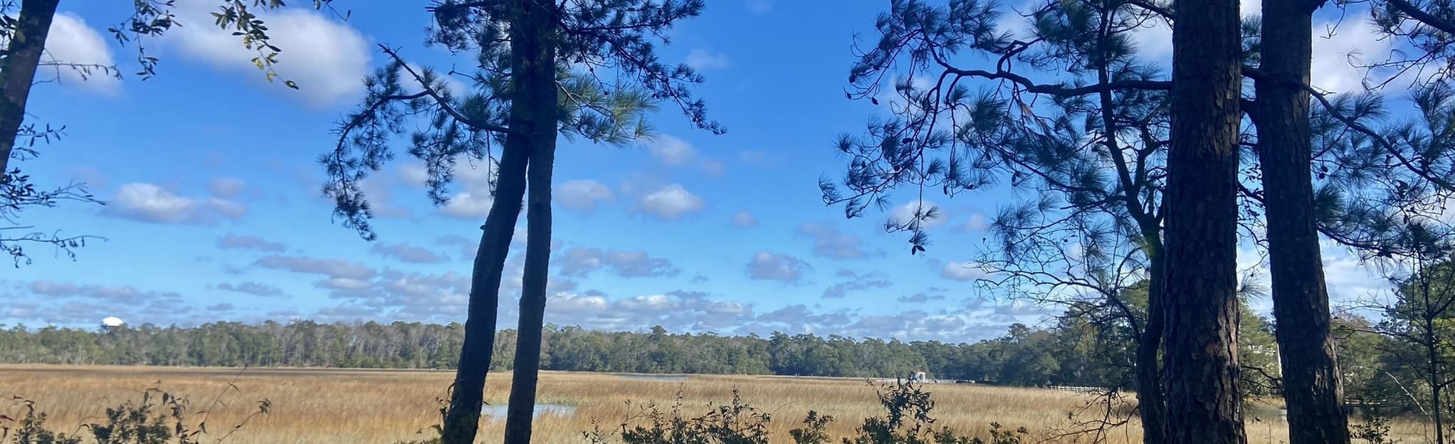 I'On Village Walk, South Carolina 122 Reviews, Map AllTrails