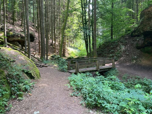 Am Odenbach zum Kesselblick