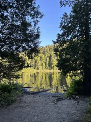 Hiking Rolley Peak in Mission - Best Hikes BC