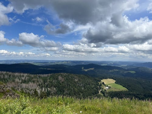 Feldbergsteig (Genießerpfad)