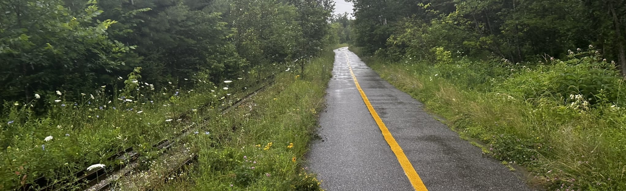 Randonnée du Train à Vapeur Chelsea Wakefield, Quebec, Canada 19 Reviews, Map AllTrails