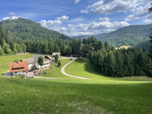Wiesensteig (Premiumwanderweg)