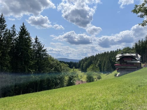 Wiesensteig (Premiumwanderweg)