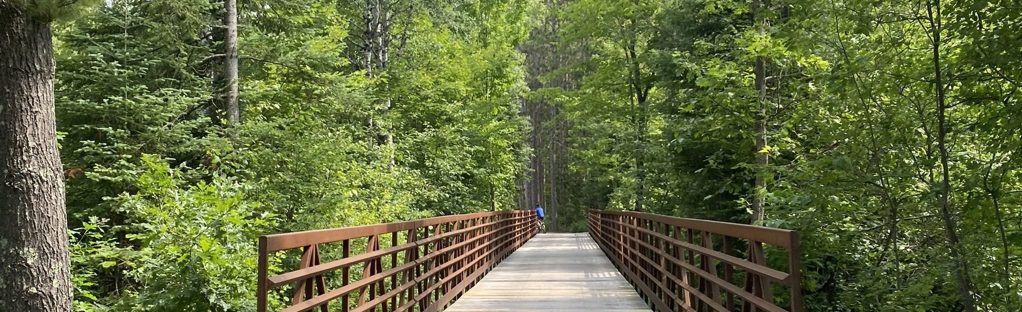 Heart of Vilas Bicycle Trail, Wisconsin 106 Reviews, Map AllTrails