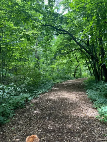 New berlin best sale bike trail