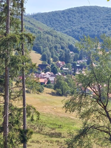 Rund um Lonau