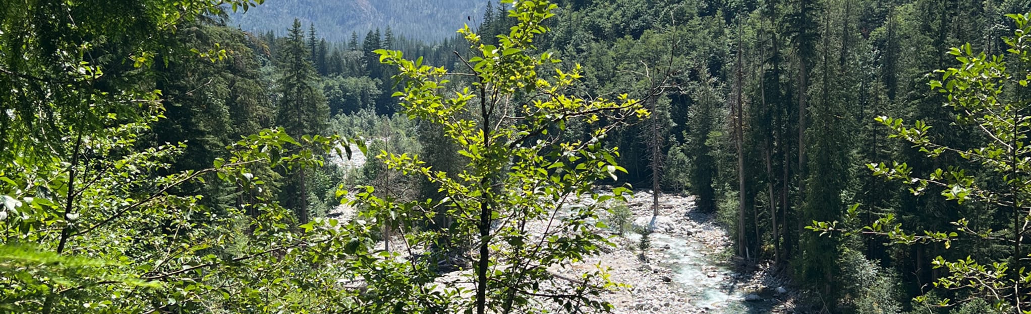 West McMillan Spire via Goodell Creek Trail 14 foto Washington