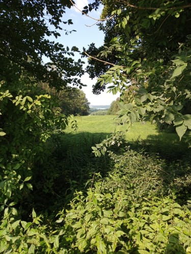 Bad Endorf Wanderweg 5: Kurf