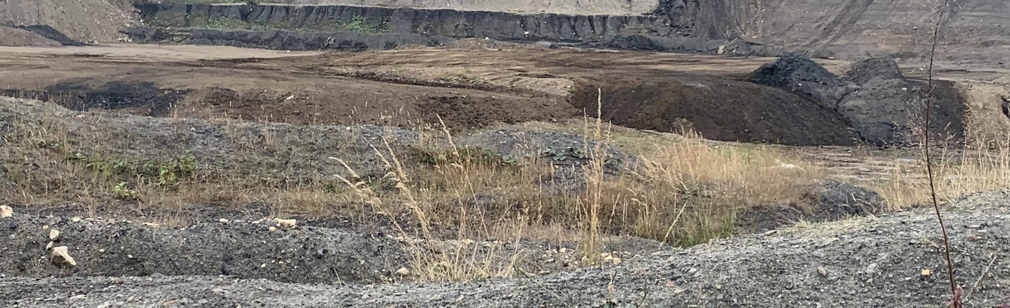 Maltby Wood, South Yorkshire, England 3 Reviews, Map AllTrails