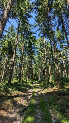 MTB Runde im Teutoburger Wald