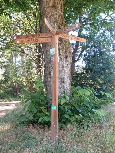 Rundwanderweg Wald-Michelbach Wetschbach 2: Geiersberg-Weg