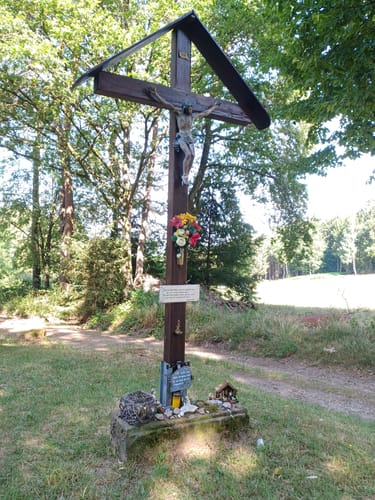 Rundwanderweg Wald-Michelbach Wetschbach 2: Geiersberg-Weg
