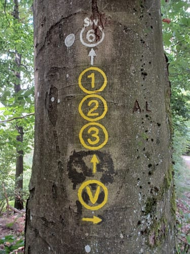 Rundwanderweg Wald-Michelbach Wetschbach 2: Geiersberg-Weg