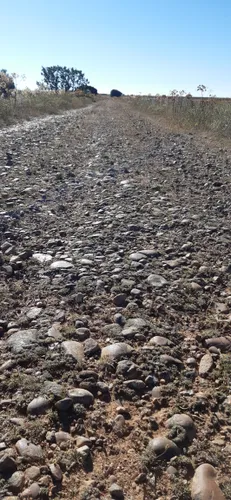 2023 Best Wildlife Trails in El Burgo Ranero AllTrails