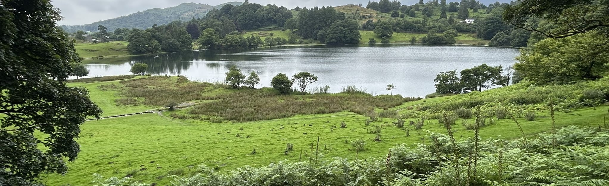 Ambleside to Tarn Foot via Loughrigg Fell 3.235 foto Cumbria