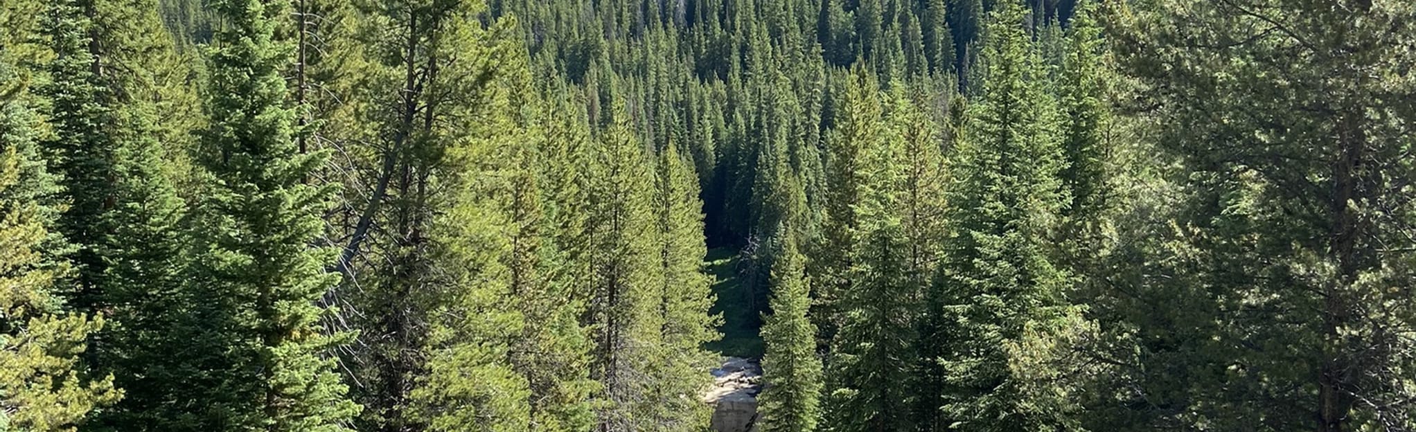 Little Vasquez Loop [PRIVATE PROPERTY], Colorado 4 Reviews, Map