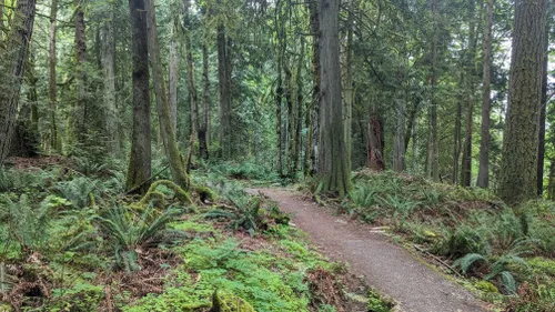 10 Best Trails and Hikes in Issaquah | AllTrails