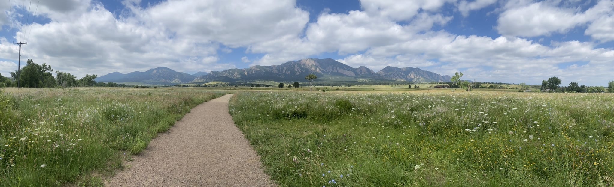 South Boulder Creek West, Mesa, and Homestead Trail, Colorado 169