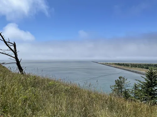 Hikes in long beach hotsell