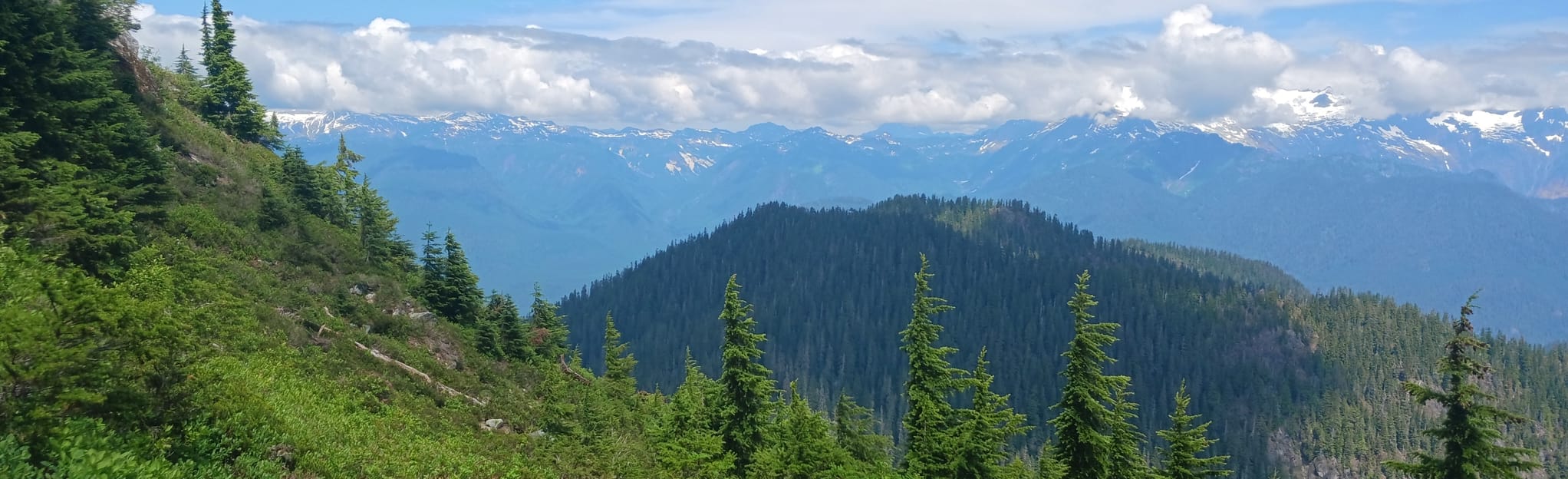 Anderson Butte Trail, Washington 41 Reviews, Map AllTrails