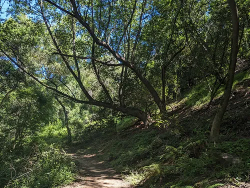 Best Hikes and Trails in East Avenue Park | AllTrails