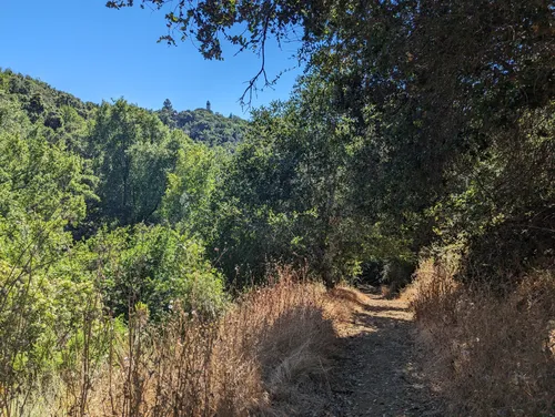 Best Hikes and Trails in East Avenue Park | AllTrails