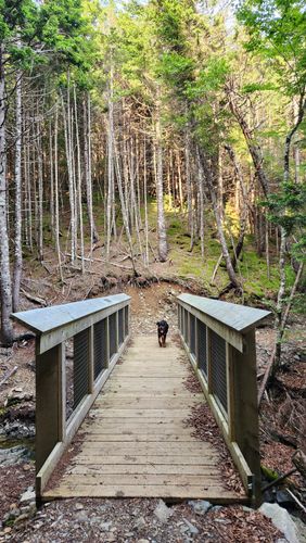 Goose River Trail: 296 fotos - Nuevo Brunswick, Canadá