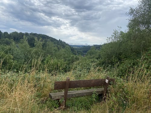 Münsterwald und Schlangenberg ab Stolberg