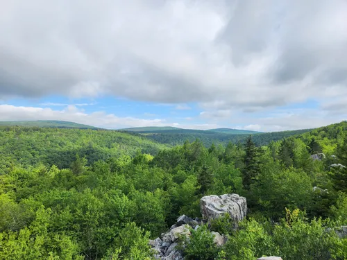 How Do You Get To Dolly Sods: Your Ultimate Guide To Reaching The ...