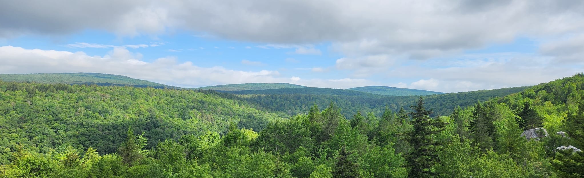 Red Creek Trail to Lion's Head Rocks 320 Reviews, Map West Virginia AllTrails