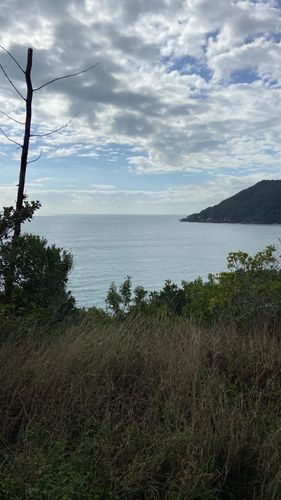 As melhores trilhas em Ponta das Canas, Santa Catarina (Brasil)