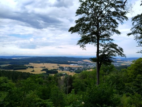 Geschichtsstraße: Themenrundweg Geheimnis Natur und Leben