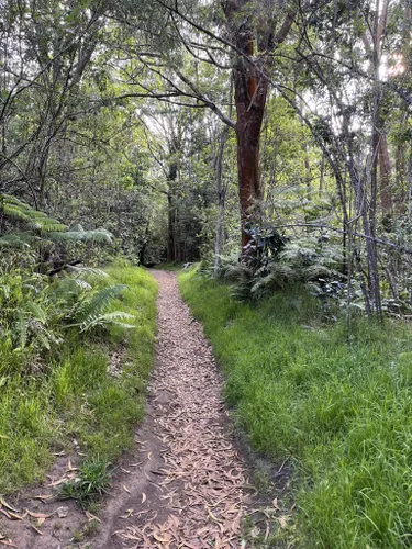 Best 10 Hikes and Trails in Hawai'i Volcanoes National Park | AllTrails