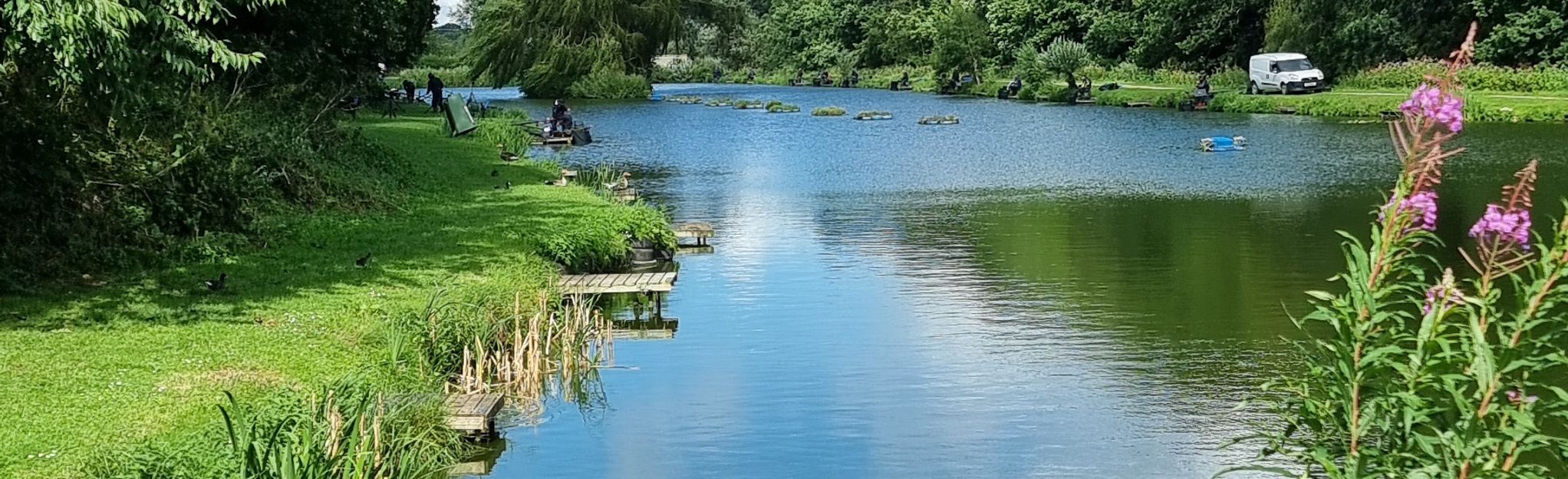 Peafield Plantation Sherwood Forest Fishery Nottinghamshire England