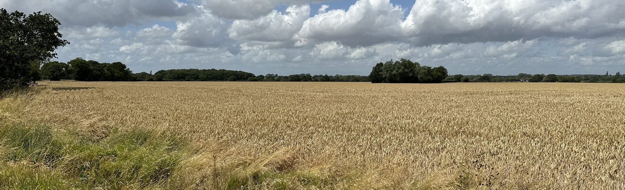 Great Leighs, Howe Street and Leez Priory Circular, 33 Fotos Essex