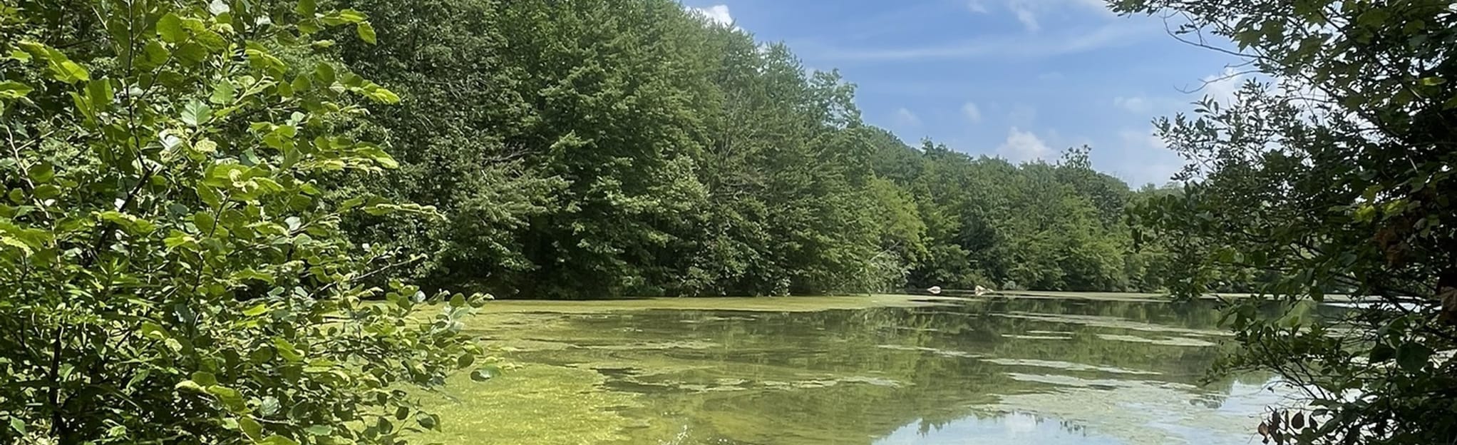 Haledon Reservoir White Trail Loop 308 Reviews, Map New Jersey