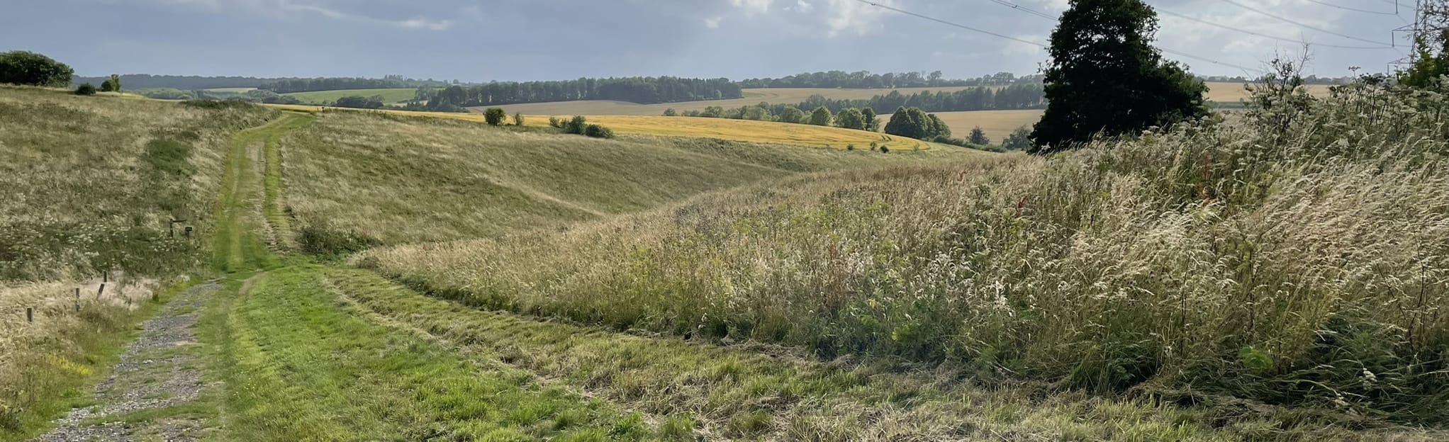 The Watership Down via Ladle Hill Circular, Hampshire, England 47
