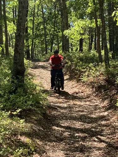 Harriman state store park mountain biking