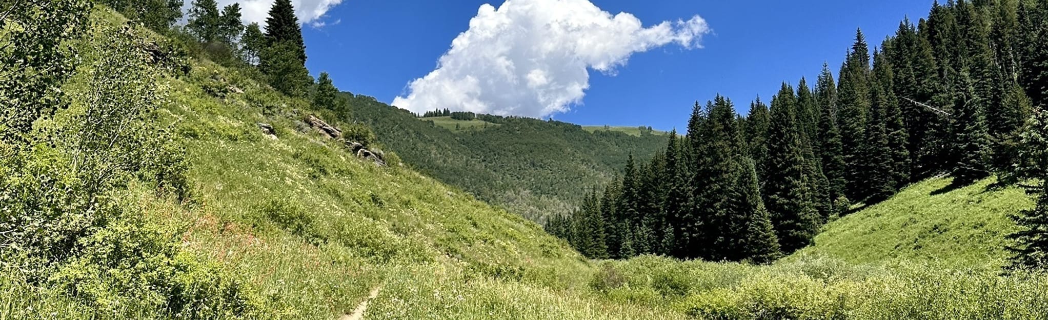 Game Creek Trail 436 Reviews, Map Colorado AllTrails