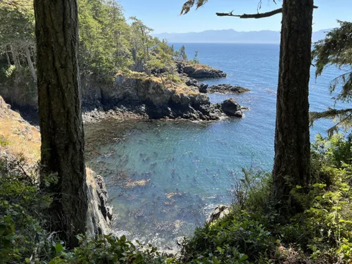 10 Best Hikes and Trails in East Sooke Regional Park | AllTrails