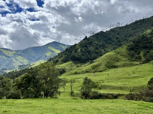 Gorgeous Armenia Quindio, Colombia!