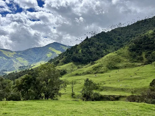 10 Best Trails and Hikes in Quindío