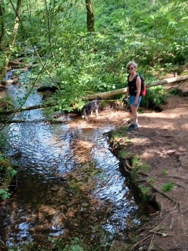 Rundweg: Oberschönmattenwags Norden