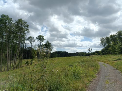 Lila Route - Stemweder Berg