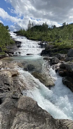 Best Hikes and Trails in Børgefjell National Park AllTrails