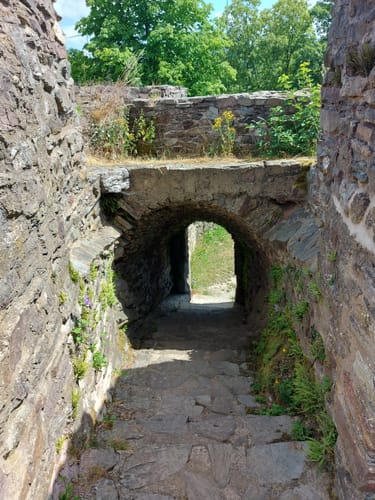 Saar-Hunsrück-Steig Etappe 7: Grimburgerhof - Reinsfeld