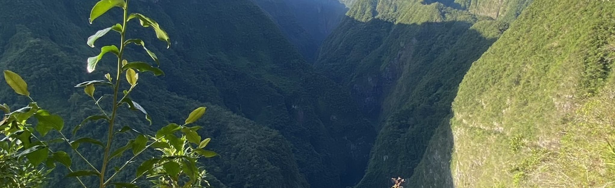 Piton Grande Chaloupe - l'Ilet-à-Guillaume, 15 Photos - Réunion | AllTrails