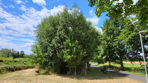 Von Frankfurt am Main in den Odenwald